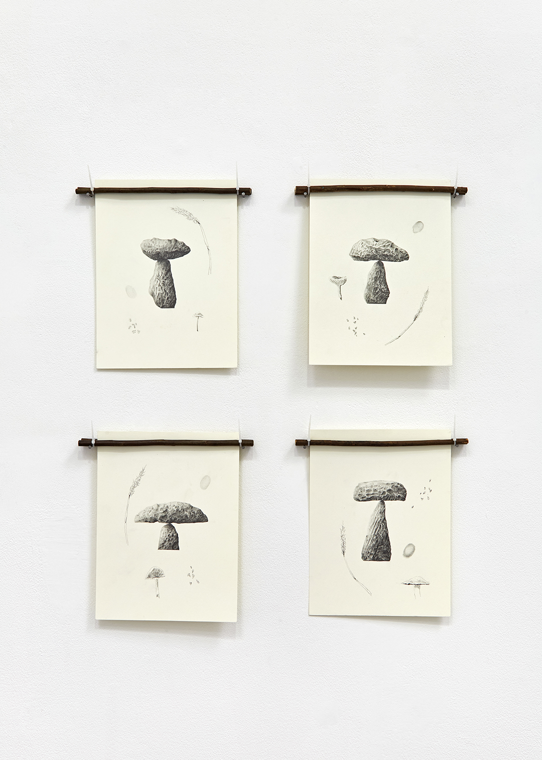 Mushroom drawings