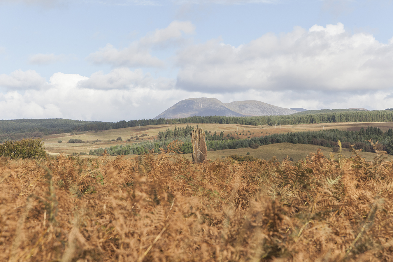 Machrie Moor