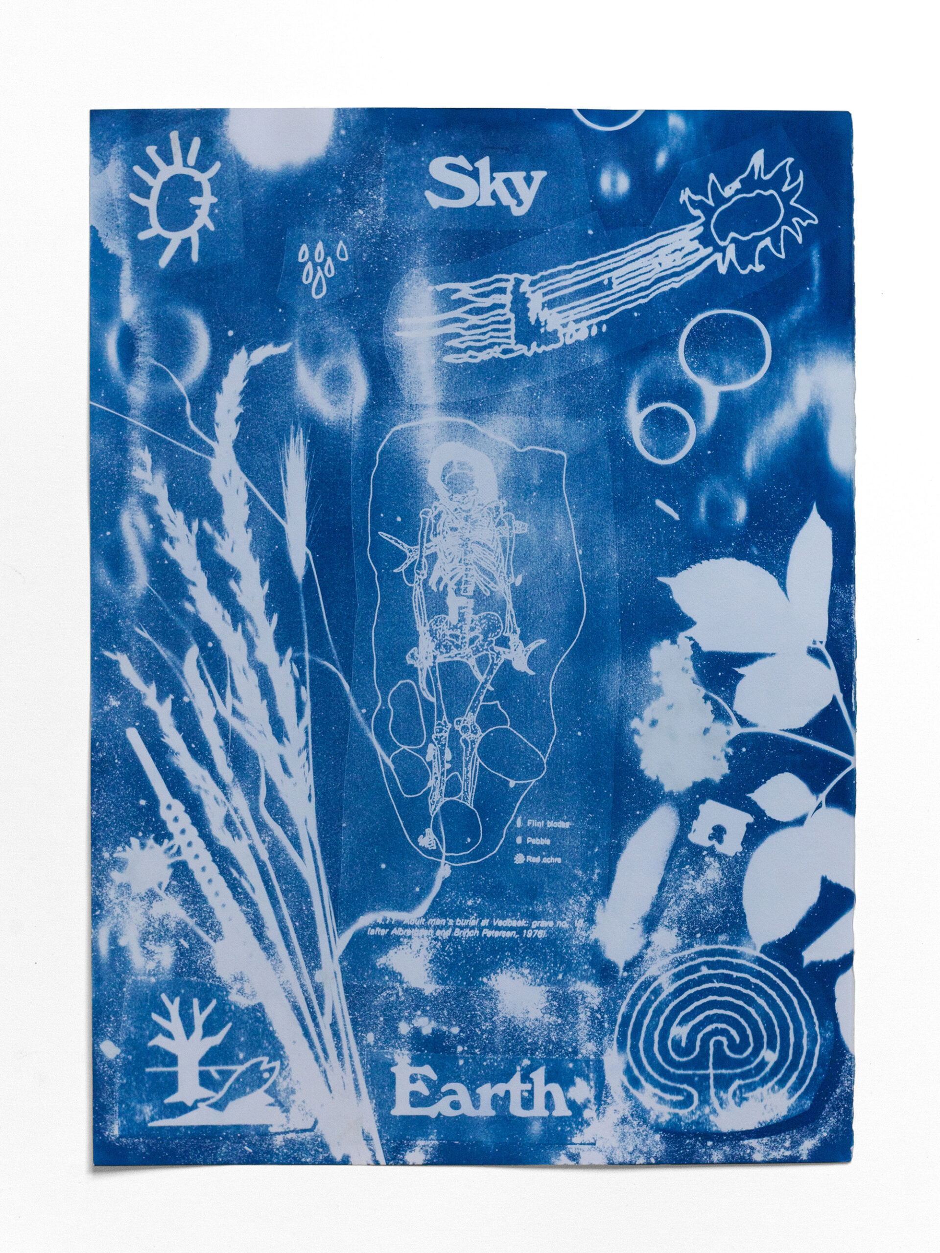 Sky / Earth. Cyanotype, 35 x 50 cm, 2024